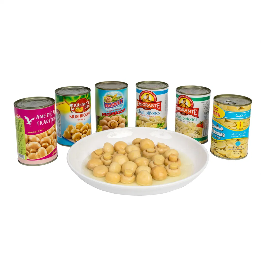 Hot Selling Canned Food Canned Mushroom with Private Label