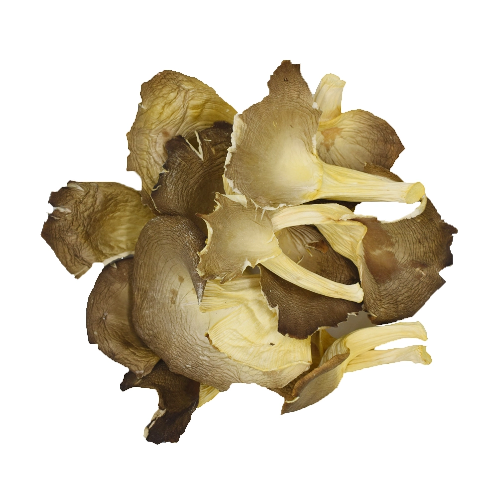 Small Size Cultivated Whole Oyster Mushroom with Various Amino Acids