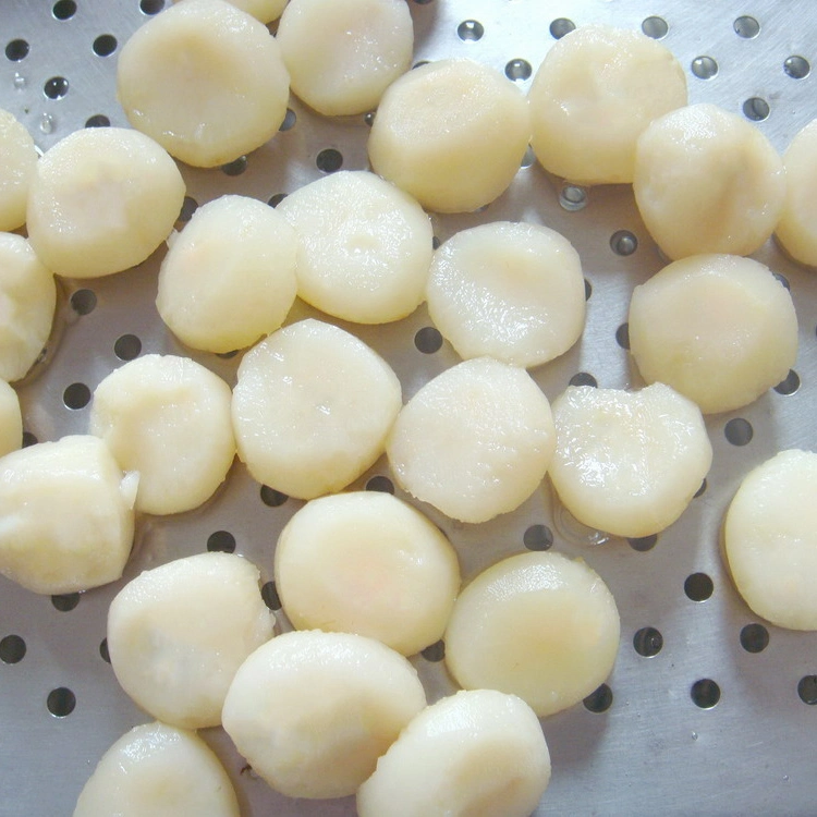 New Crop A10 Water Chestnut Slice/ Whole/ Dices in Tin