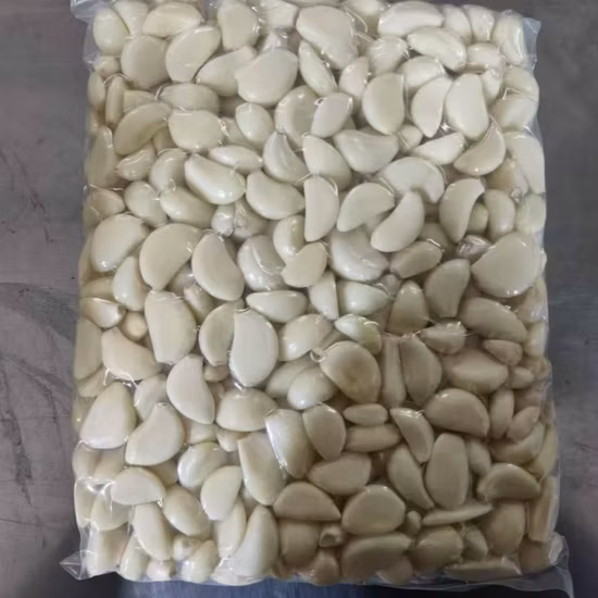 Top Quality Peeled Garlic Cloves in Brine Salted Garlic