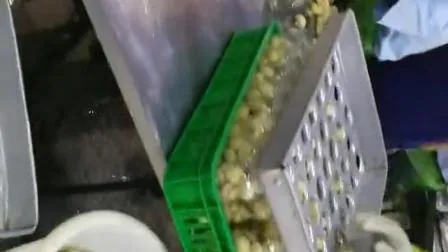 Canned Mushrooms, Canned Fruit, Canned Vegetables, Mushrooms in So2, Mushrooms in Brine, Mushrooms in Vinegar