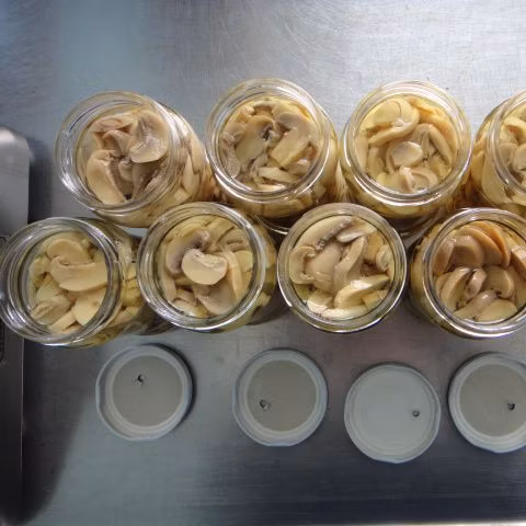 Good Quality Canned Slice Whole Mushroom in Can Food From China