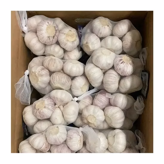 New Wholesale Jiangsu Good Price Export Solo Pure Peeled Fresh Dried Normal/Super White Dehydrated Garlic