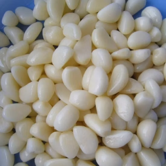 High Quality Pickled Garlic in Brine Packed in Glass Jars Wholesale